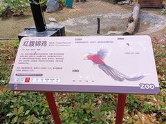 -武汉动物园