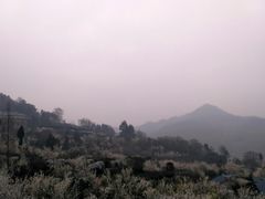 -樱桃山旅游景区
