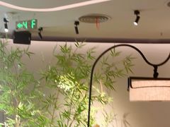 -绿茶餐厅(淮安吾悦广场店)