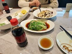 -船歌·鱼水饺青岛菜(太阳宫凯德MALL店)