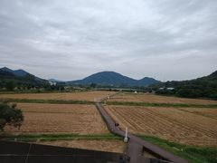 -艾米稻香小镇