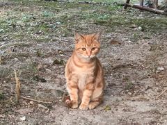 -爱侣宠医·鹦鹉专科·小型哺乳类·异宠专科(灵石路店)