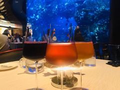 -迪拜帆船酒店海底餐厅