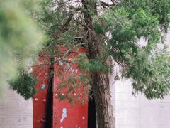 -洛阳白马寺