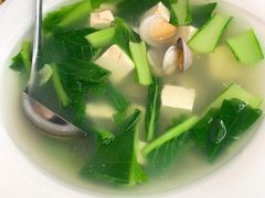 文蛤豆腐汤-北戴河庆山饭店·海鲜砂锅粥(北戴河黑石路店)