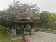 -白塘生态植物园