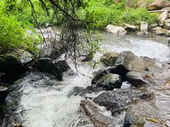 -象头山国家级自然保护区