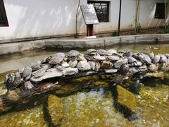 -红螺寺