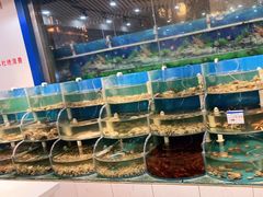 水产区-同道蒸汽海鲜烧烤自助(刘庄夜市店)