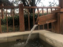 -思念果岭悦温泉