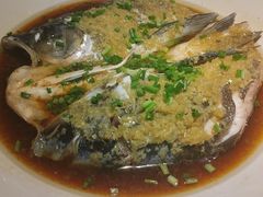 -绿茶餐厅(华联万柳店)