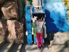 -朝阳公园游乐园