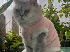 -小时光咖啡馆(北锣鼓巷店)