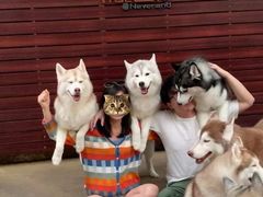-TrueLove @ Neverland (Husky Cafe)