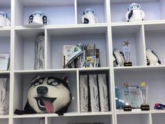 -Hopo Snow 城市滑雪空间(滨江宝龙城店)