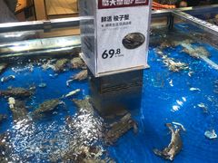-盒马鲜生(枣园路店)