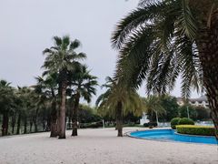 -宜春明月山维景国际温泉度假酒店