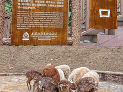 -龙凤山庄影视度假村