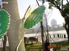 -宁波万豪酒店