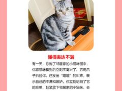 -翊宠yipet猫狗购宠庄园犬舍•猫舍