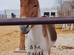 -青藏高原野生动物园