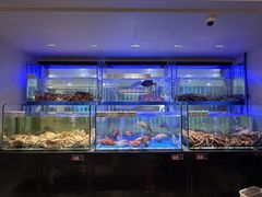 -南海渔村(珠江新城店)