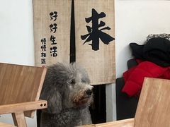 -沏点Trattoria意大利餐厅(新街口店)