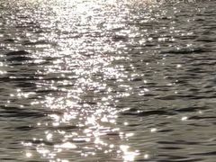 -金鸡湖景区