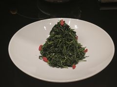 红果枸杞苗-清真·宁夏印象·盐池滩羊肉体验店(江宁路店)