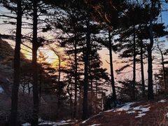 -泰山风景名胜区