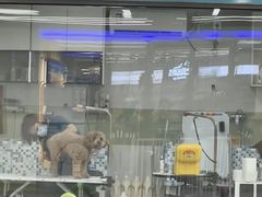 -全心全意动物诊疗中心医院(北苑店)