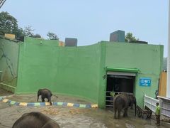 -大连森林动物园