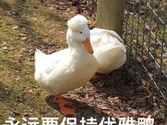 -bluefrog蓝蛙(悠唐购物中心店)