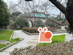 -武汉大学-樱园
