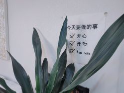 点击看大图 -初心纹眉洗眉·美甲美睫