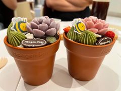 -哈根达斯(龙湖时代天街店)