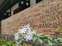 -古大圣慈寺