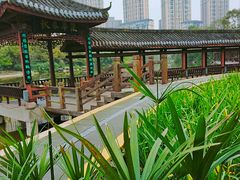 -龙头寺公园