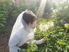 -鹅湖玫瑰文化园