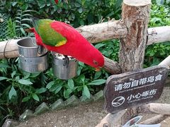 -南宫五洲植物乐园