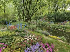 -上海共青森林公园