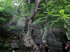 -青檀寺景区