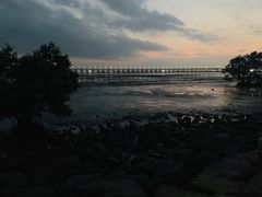 -宝安西湾红树林湿地公园