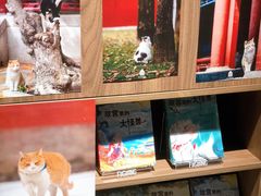 -扶光书店(中环店)