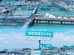 -马銮湾景区
