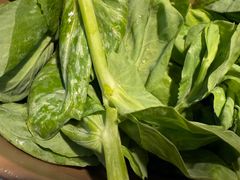 高山豌豆尖-鸿姐老火锅(静安店)