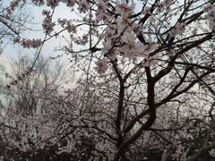 -绿堤公园