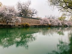 -颐和园