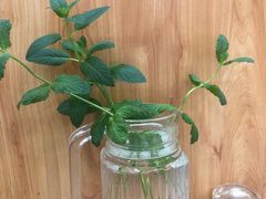 -大盘鸡@拌面(新民路店)