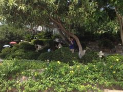 -鼓浪屿钢琴博物馆